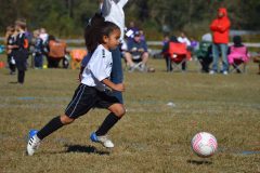 Ava's Story - Lady Rockets