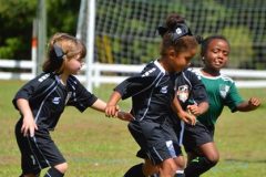 Ava's Story - Lady Rockets