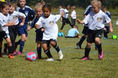 Ava's Story - Lady Rockets