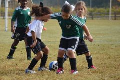 Ava's Story - Lady Rockets