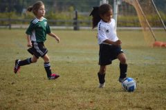 Ava's Story - Lady Rockets