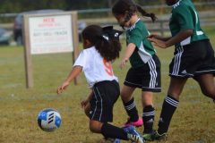 Ava's Story - Lady Rockets