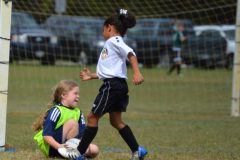 Ava's Story - Lady Rockets