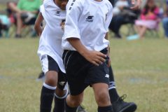 Ava's Story - Lady Rockets