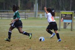 Ava's Story - Lady Rockets