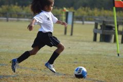 Ava's Story - Lady Rockets