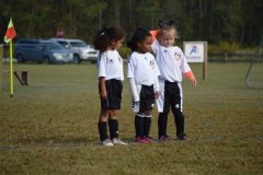 Ava's Story - Lady Rockets