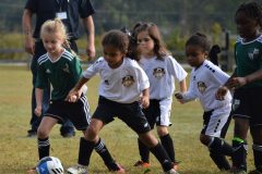 Ava's Story - Lady Rockets