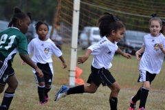 Ava's Story - Lady Rockets
