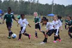 Ava's Story - Lady Rockets