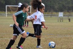 Ava's Story - Lady Rockets