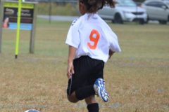 Ava's Story - Lady Rockets