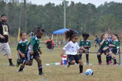 Ava's Story - Lady Rockets