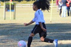 Ava's Story - Lady Rockets