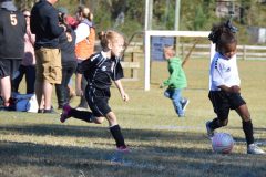 Ava's Story - Lady Rockets