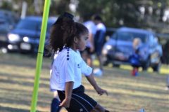 Ava's Story - Lady Rockets