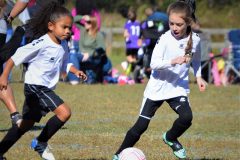 Ava's Story - Lady Rockets