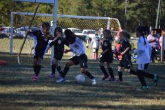 Ava's Story - Lady Rockets